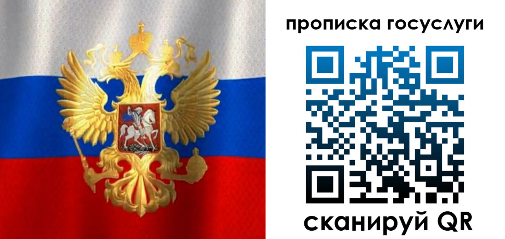 временная регистрация в Владимирской области